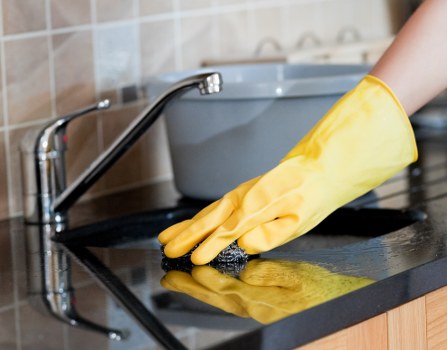 Professional pet stain odour removal service for a carpet in Camden
