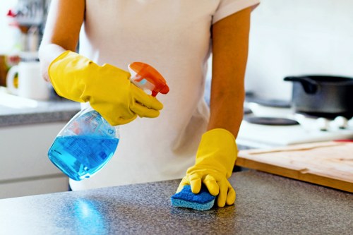 Professional house cleaning for Camden homes and flats