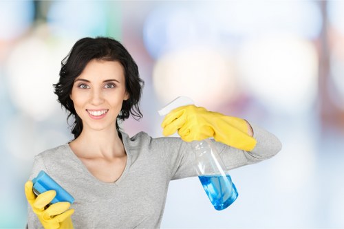 Local gutter maintenance for homes and flats in Camden