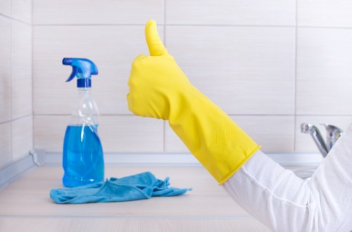 Professional cleaner working carefully with health and safety measures in place
