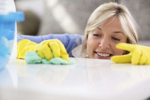 Cleaner Camden liability and service conditions section