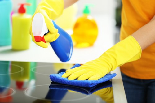 Cleaner Camden professional using protective gloves during cleaning