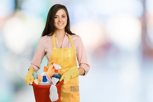 Local domestic cleaning service in Camden handling a period property interior
