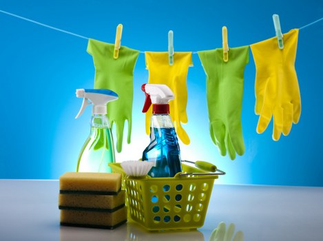Deep cleaning and odour neutralisation for pet stains on upholstery